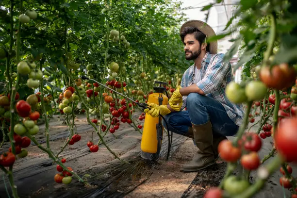 Farm Worker Jobs in Canada ( 25– 40 per Hour)