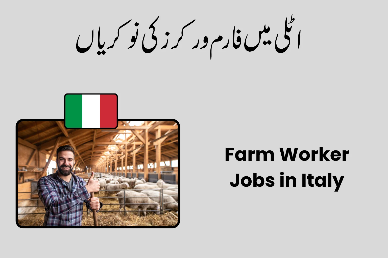 Farm Worker Jobs in Italy