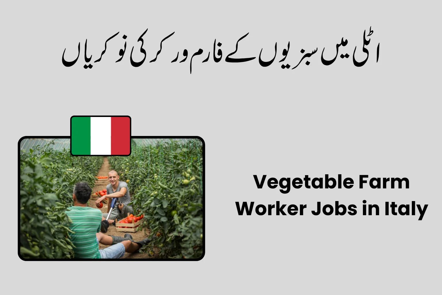 Vegetable Farm Worker Jobs in Italy