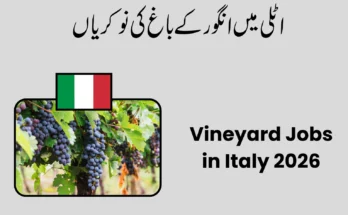 Vineyard Jobs in Italy 2026
