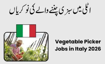 Vegetable Picker Jobs in Italy 2026 – Earn €10–€14 Per Hour