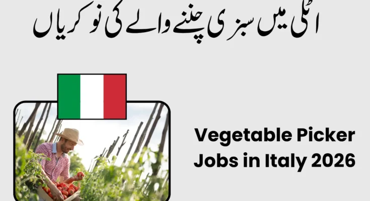 Vegetable Picker Jobs in Italy 2026 – Earn €10–€14 Per Hour